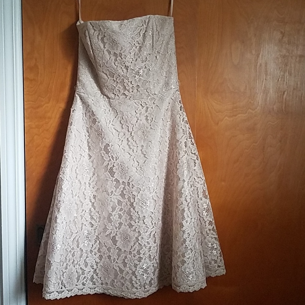 White House Black market size 10 champagne lace